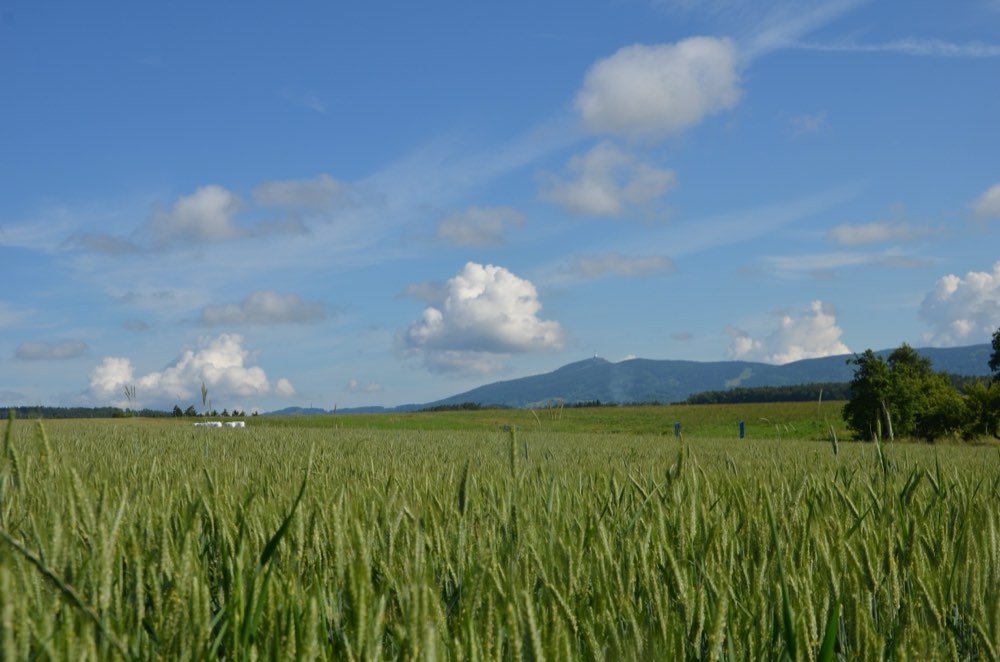 Druhá generace na farmě
